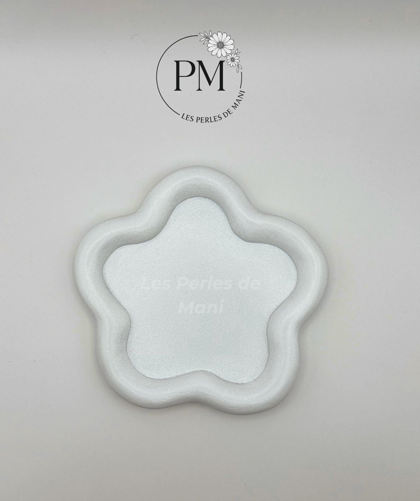 PLATEAU ÉTOILÉ