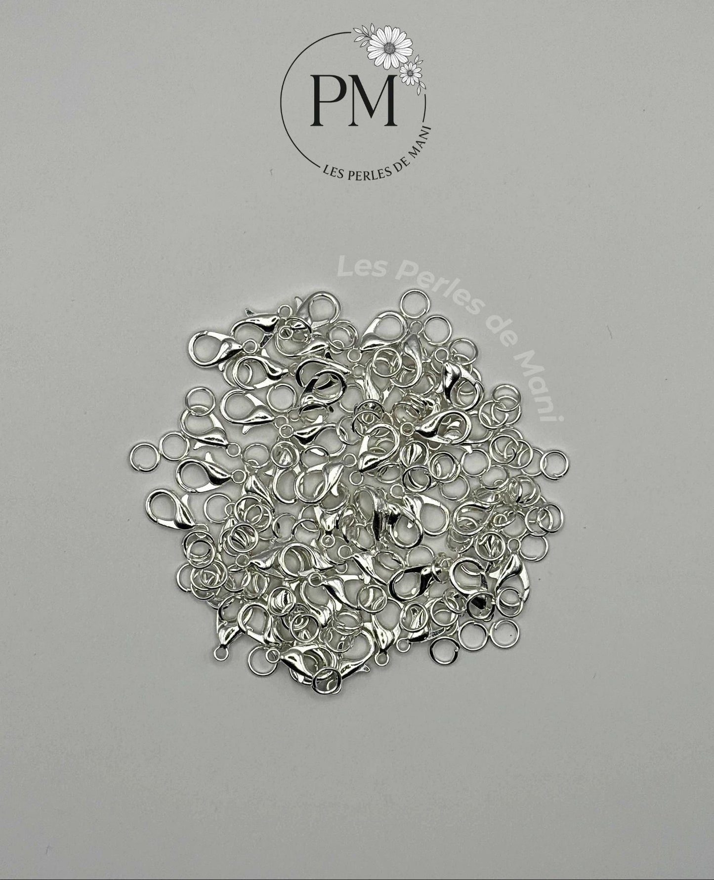 Kit fermoirs + boucles