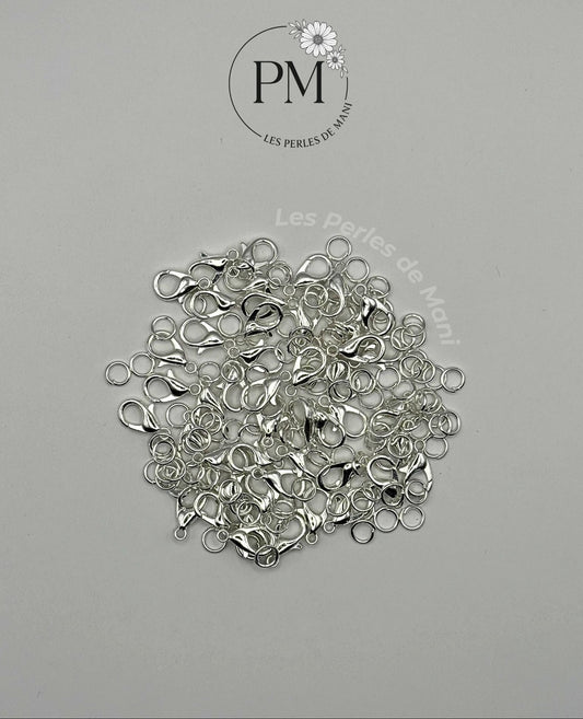 Kit fermoirs + boucles